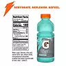 Gatorade Frost Thirst Quencher Artic Blitz 20 fl. oz.