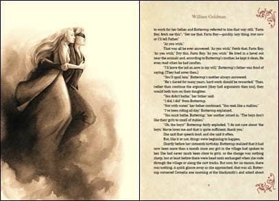 Princess Bride Deluxe Edition, The: William Goldman