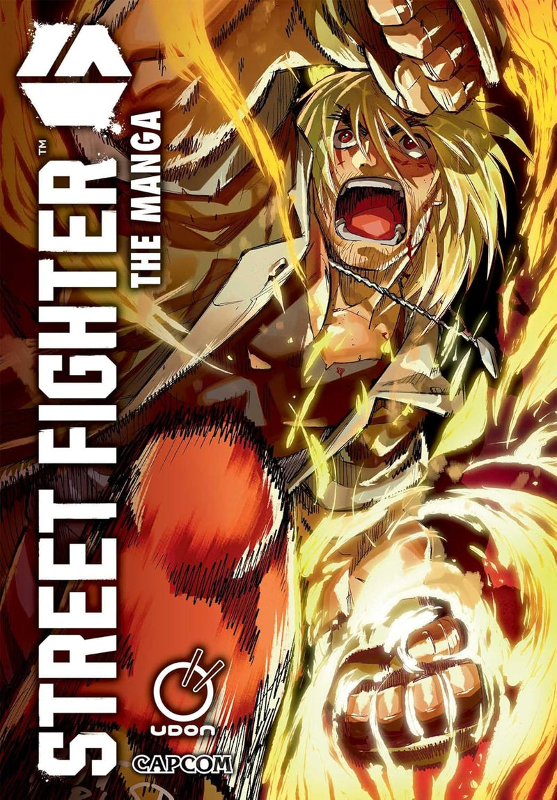 STREET FIGHTER : THE MANGA