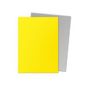 Yellow & Silver - Matte Dual Sleeves