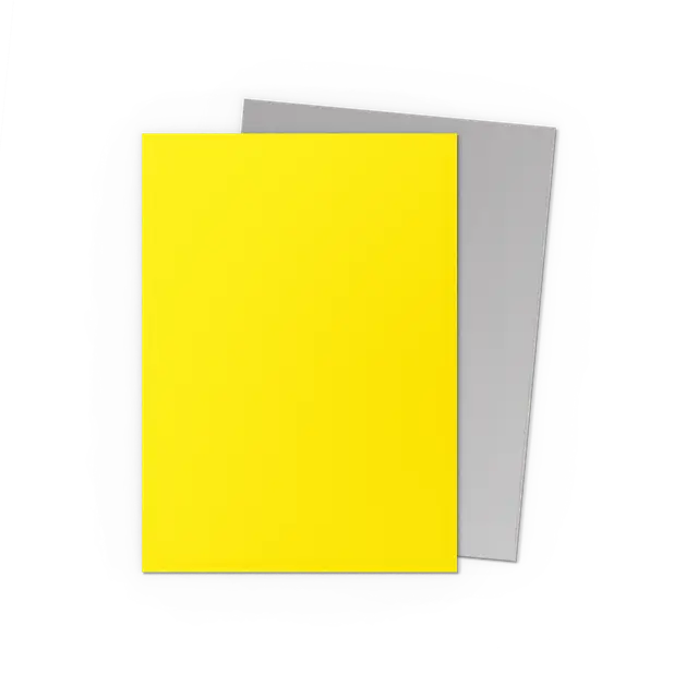 Yellow & Silver - Matte Dual Sleeves