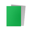 Apple Green & Silver - Matte Dual Sleeves