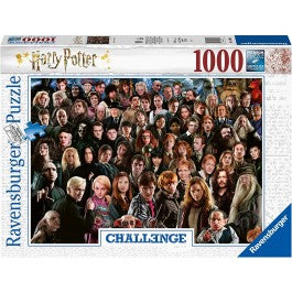 Challenge: Harry Potter 1000 Piece Puzzle