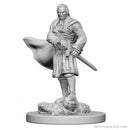 D&D Nolzur's Marvelous Miniatures: Vampires