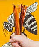 Honey Sticks Variety Pack - Pack of 16
