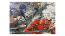 Jigsaw Puzzle Attack on Titan