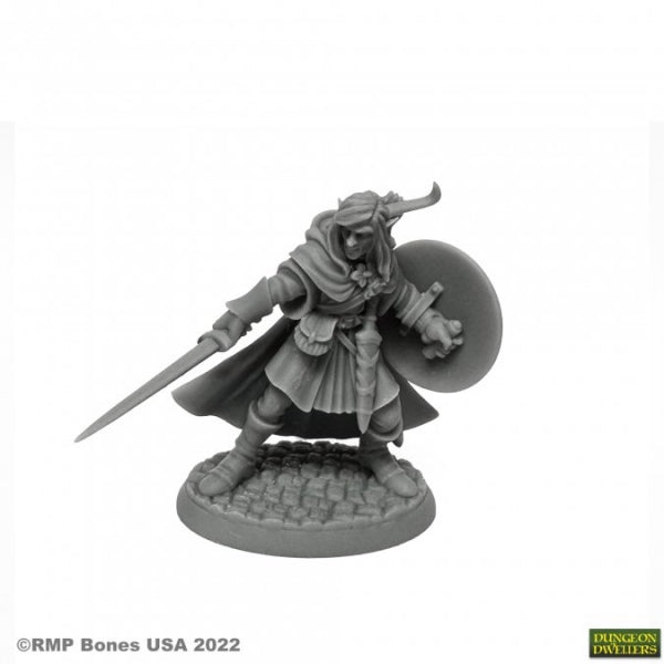 Bones USA Dungeon Dwellers: Mellonir Windrunner, Elf Warrior