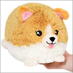 Squishable Mini Squishale Baby Corgi 7") Take home Zappo
