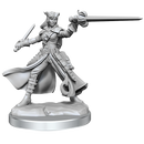 D&D Frameworks: Tiefling Rogue