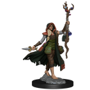D&D Frameworks: Human Druid