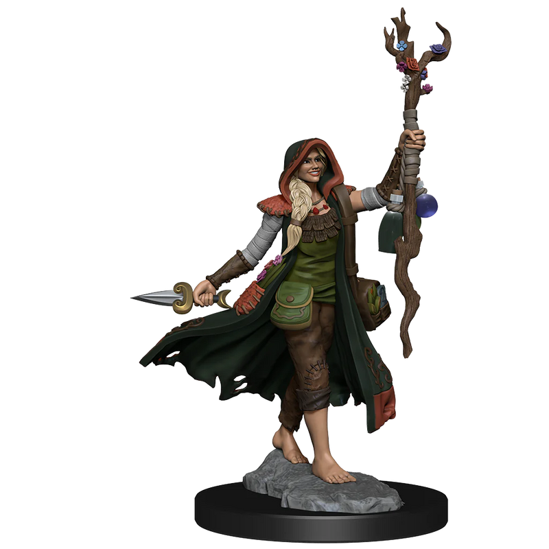 D&D Frameworks: Human Druid