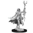 D&D Frameworks: Human Druid