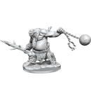 D&D Frameworks: Ogre