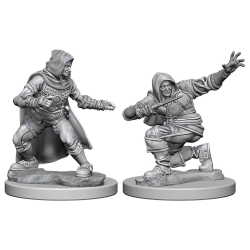 PATHFINDER: DEEP CUTS UNPAINTED MINIATURES -W1-MALE HUMAN ROGUE
