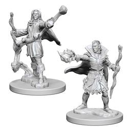 PATHFINDER: DEEP CUTS UNPAINTED MINIATURES -W1-MALE ELF SORCERER