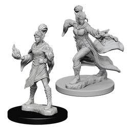 PATHFINDER: DEEP CUTS UNPAINTED MINIATURES -W1-FEMALE ELF SORCERER