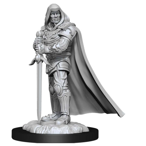 DUNGEONS AND DRAGONS NOLZUR'S MARVELOUS MINIATURES: W13 MALE HUMAN PALADIN