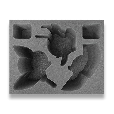 Age of Sigmar Chaos Be'lakor and Large Character Foam Tray (BFL)