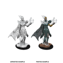 D&D Nolzur's Marvelous Miniatures - Cloud Giant (WAVE 8)