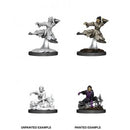D&D Female Human Monk Unpainted Miniature