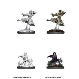 D&D Female Human Monk Unpainted Miniature