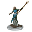 D&D Icons of the Realms Premium Figures Elf Sorcerer