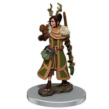 D&D Icons of the Realms Premium Figures Human Druid