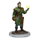 D&D Icons of the Realms Premium Figures Half-Elf Bard