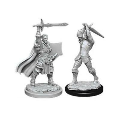 D&D Nolzur’s Marvelous Miniatures: Male Human Paladin