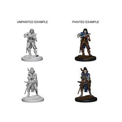 PATHFINDER: DEEP CUTS UNPAINTED MINIATURES -W4-FEMALE ELF BARD