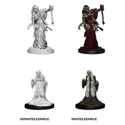 DUNGEONS AND DRAGONS: NOLZUR'S MARVELOUS UNPAINTED MINIATURES GREEN HAG AND NIGHT HAG